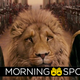Image for article titled Netflix's Narnia Adaptations May Have Found a Surprising Director